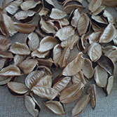 biomass waste fuel