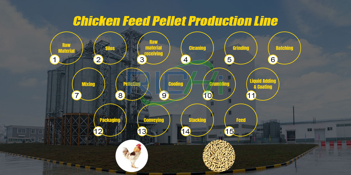 chicken feed production process