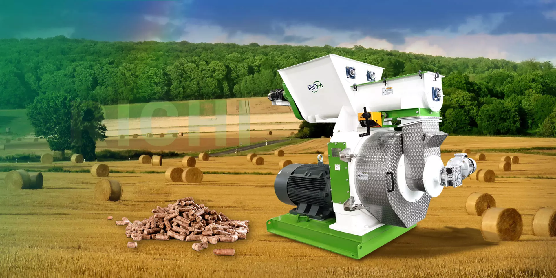 complete biomass pellet mill manufacturer and supplier