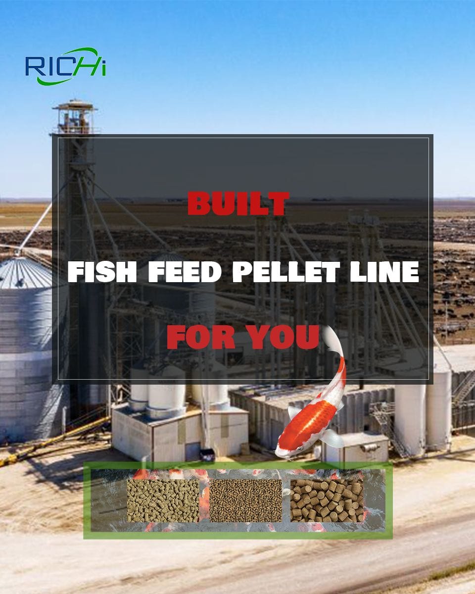 fish feed pellet line construction project supplier