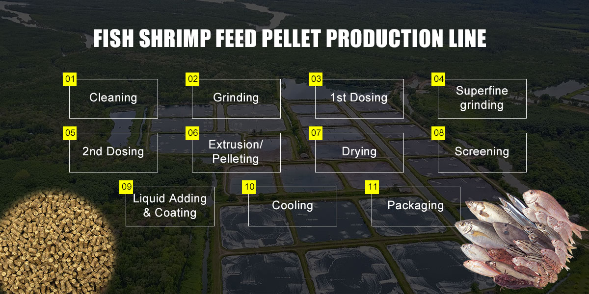 fish shrimp feed production process