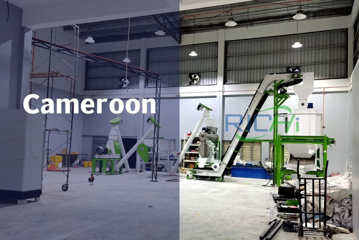 pellet machine in Cameroon 1-20tph