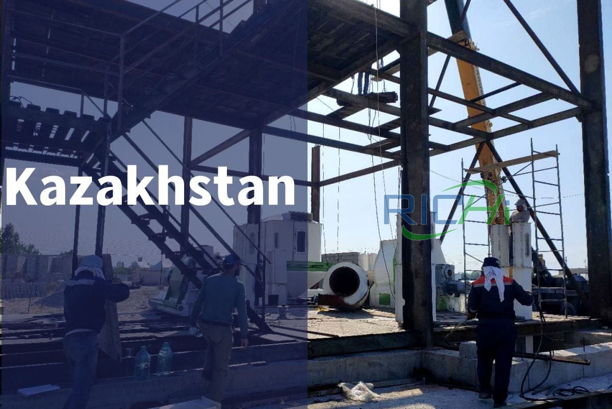 pellet making machine for sale Kazakhstan projects 1-20tph