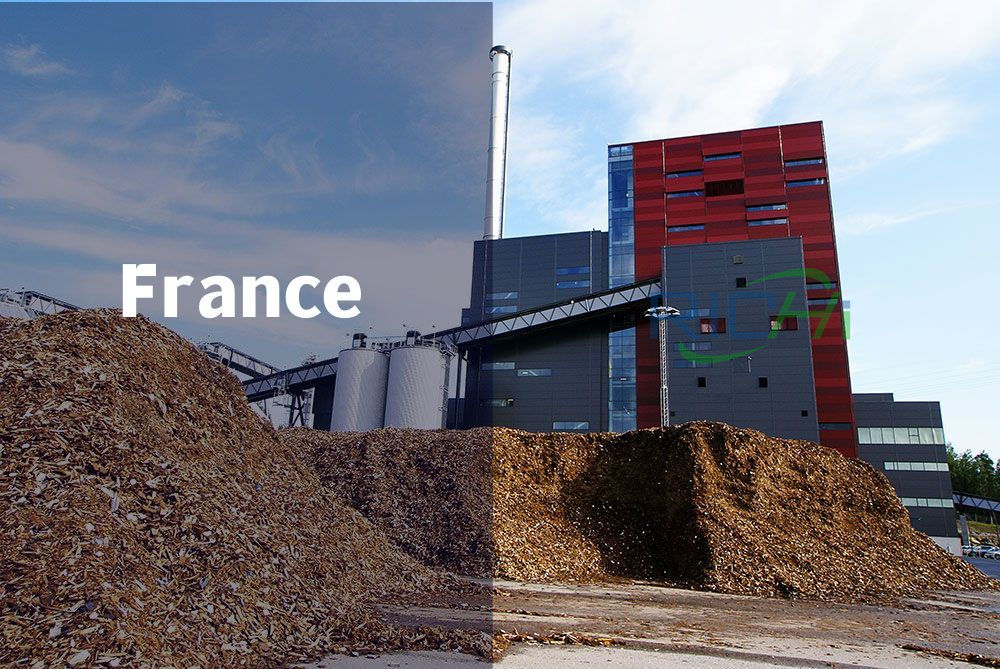 pellet making machine in France 1-20tph projects