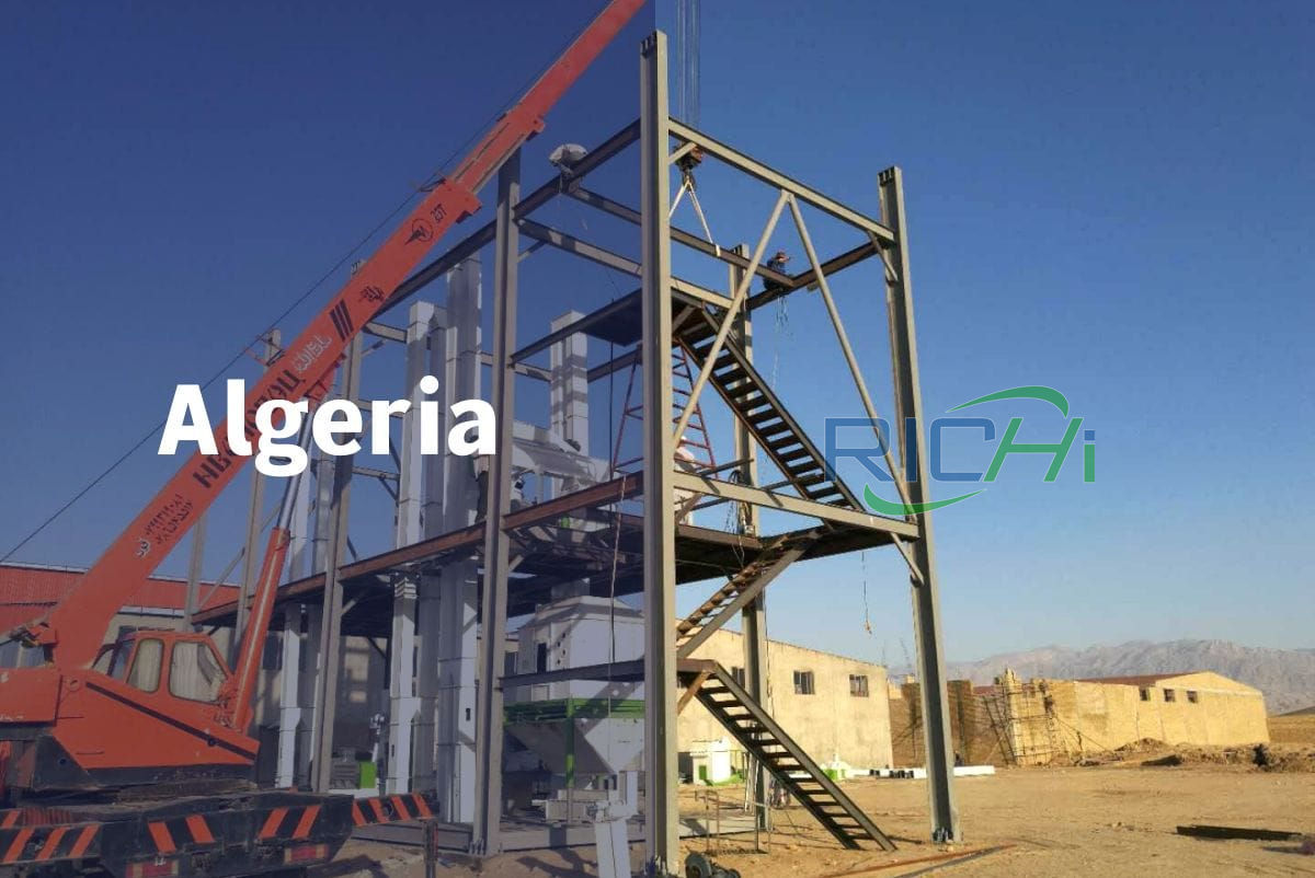pellet mill for sale Algeria 1-20tph