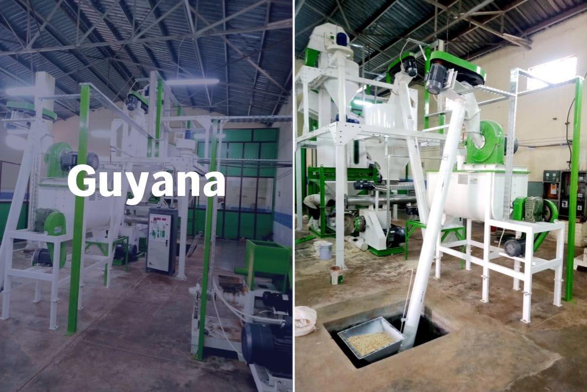 pellet mill for sale Guyana 1-20tph projects