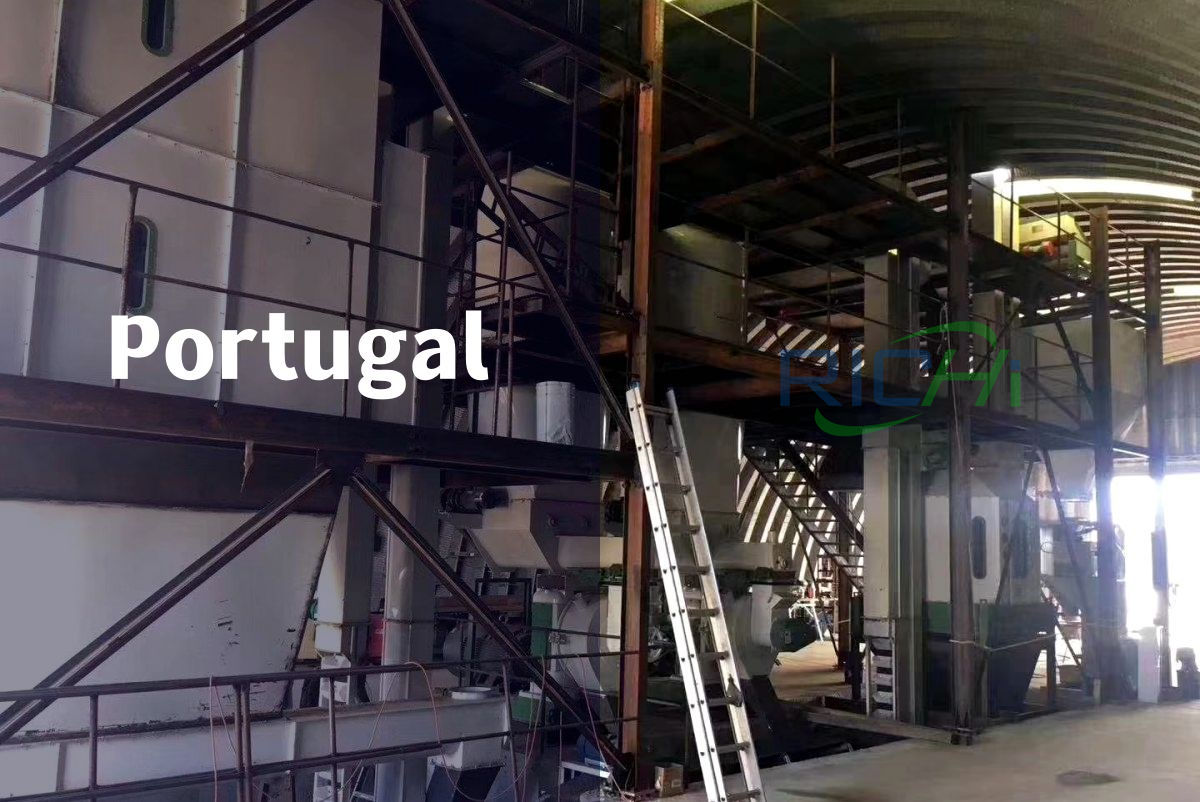 pellet mill in Portugal 1-20tph projects