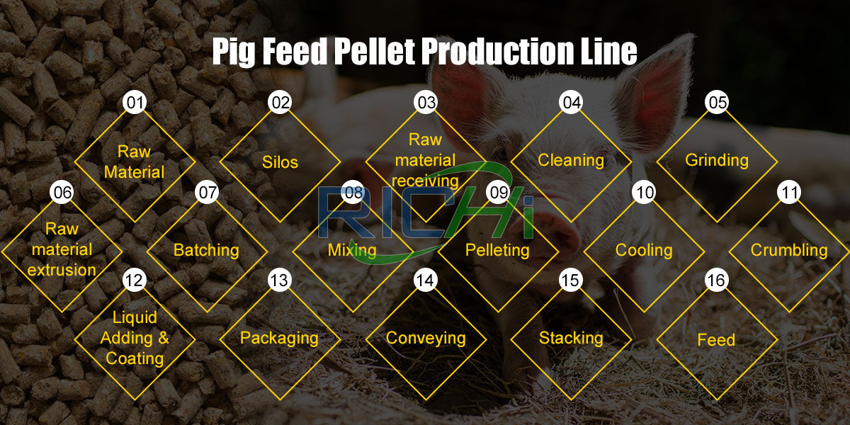 pig feed production process