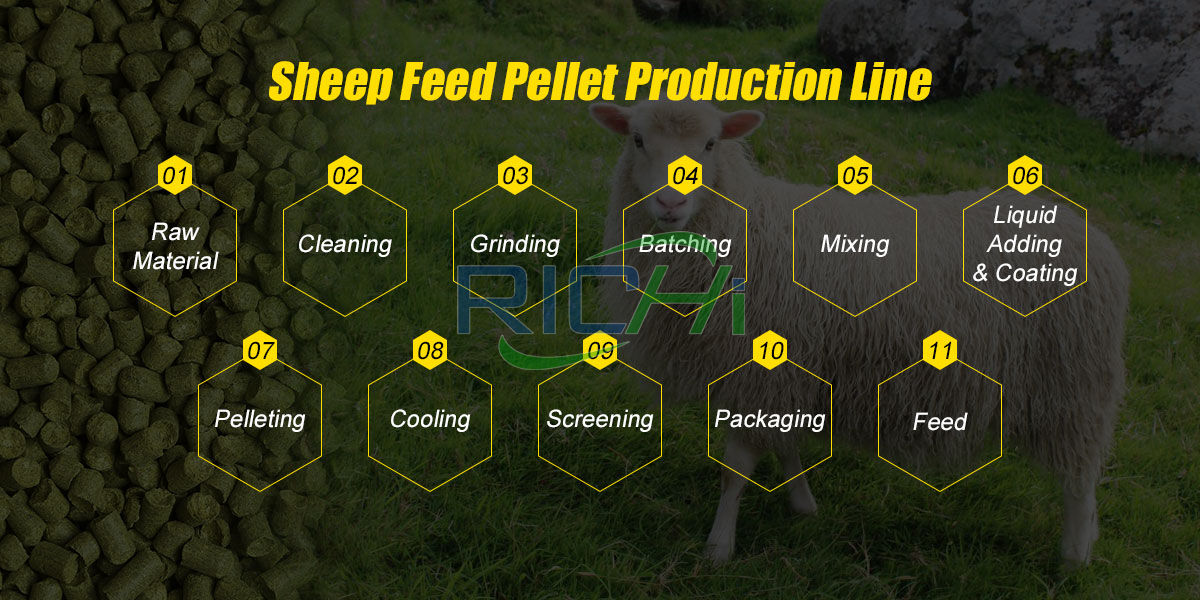 sheep feed production process