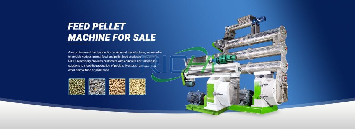 Bagasse pellet machine for animal feed