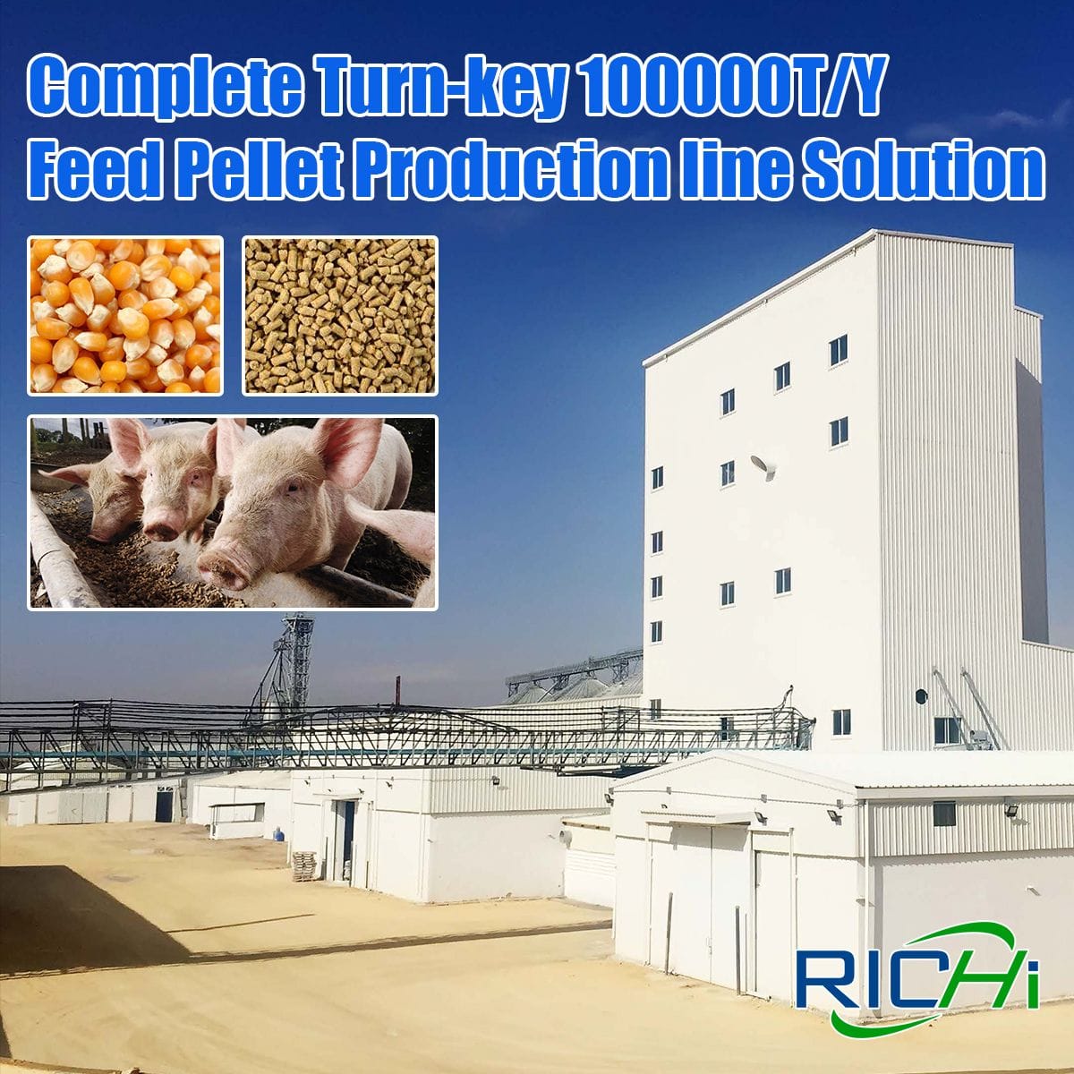 Pig Feed Mill Design Services We Provide