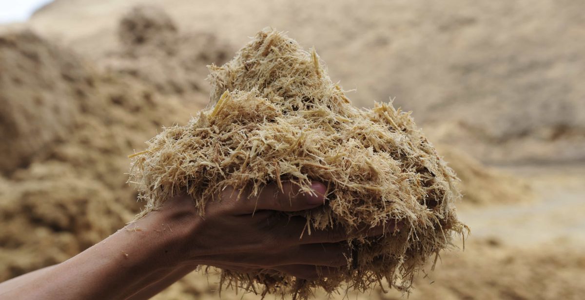 bagasse waste materials