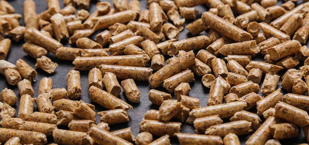 bagasse waste pellet product