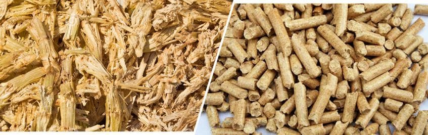 from sugarcane bagasse to pellets