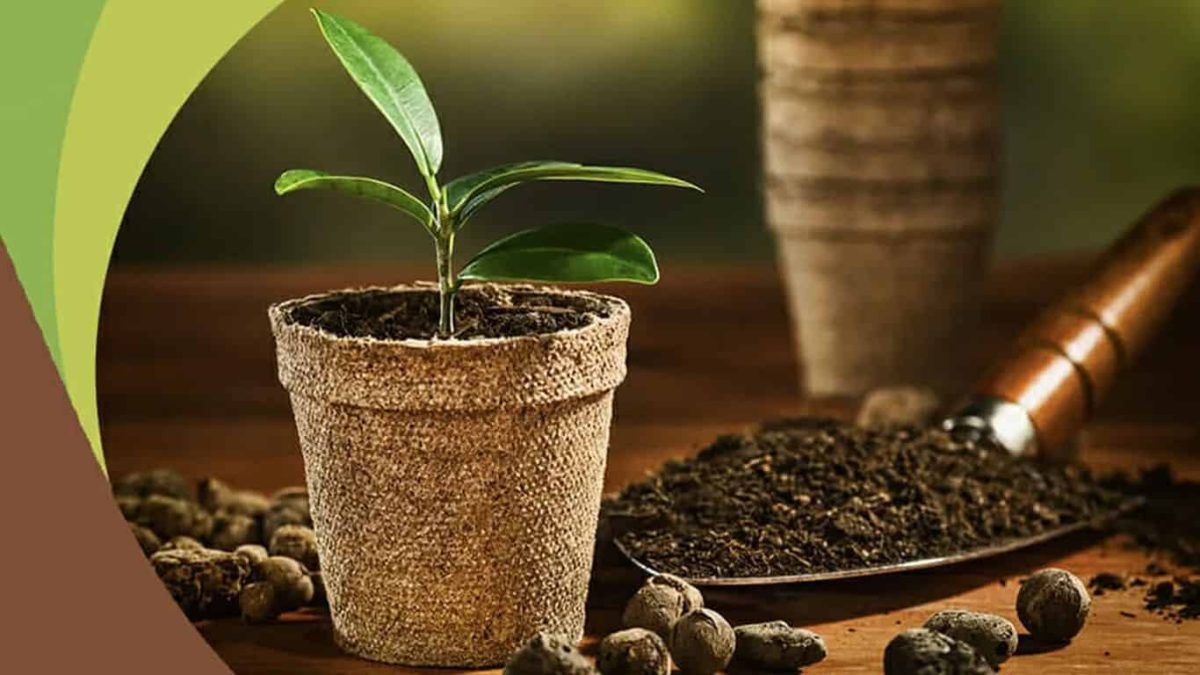 Why Invest In Coco Peat Pellet Production Business