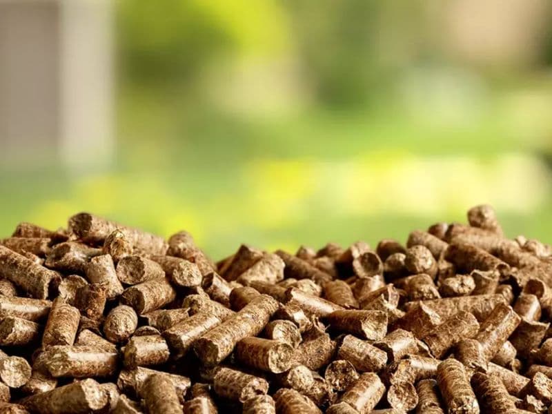 Woodpellets vs wood chips