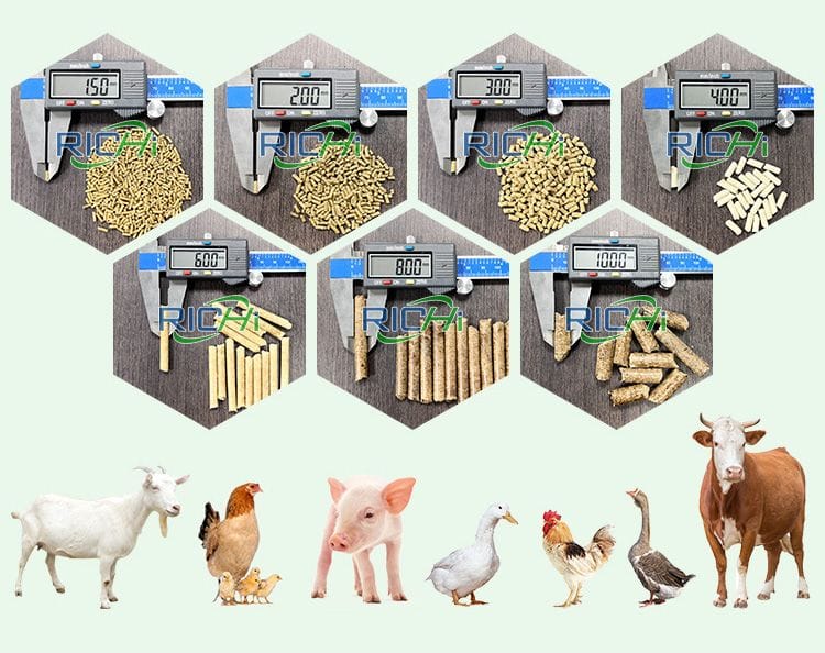 animal feed pellets