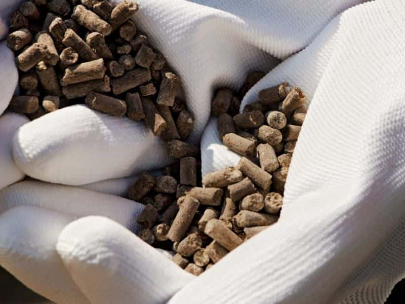 calorific value of coconut shell pellets