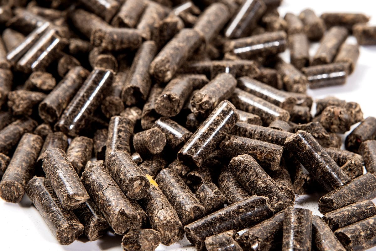 coffee waste pellet fuel