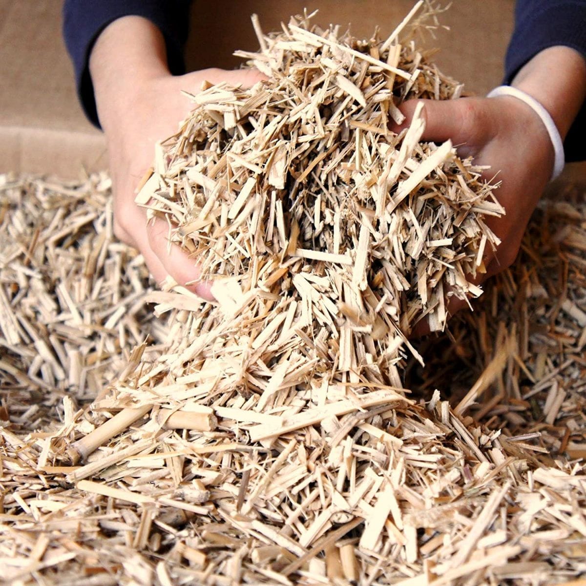 crushed miscanthus