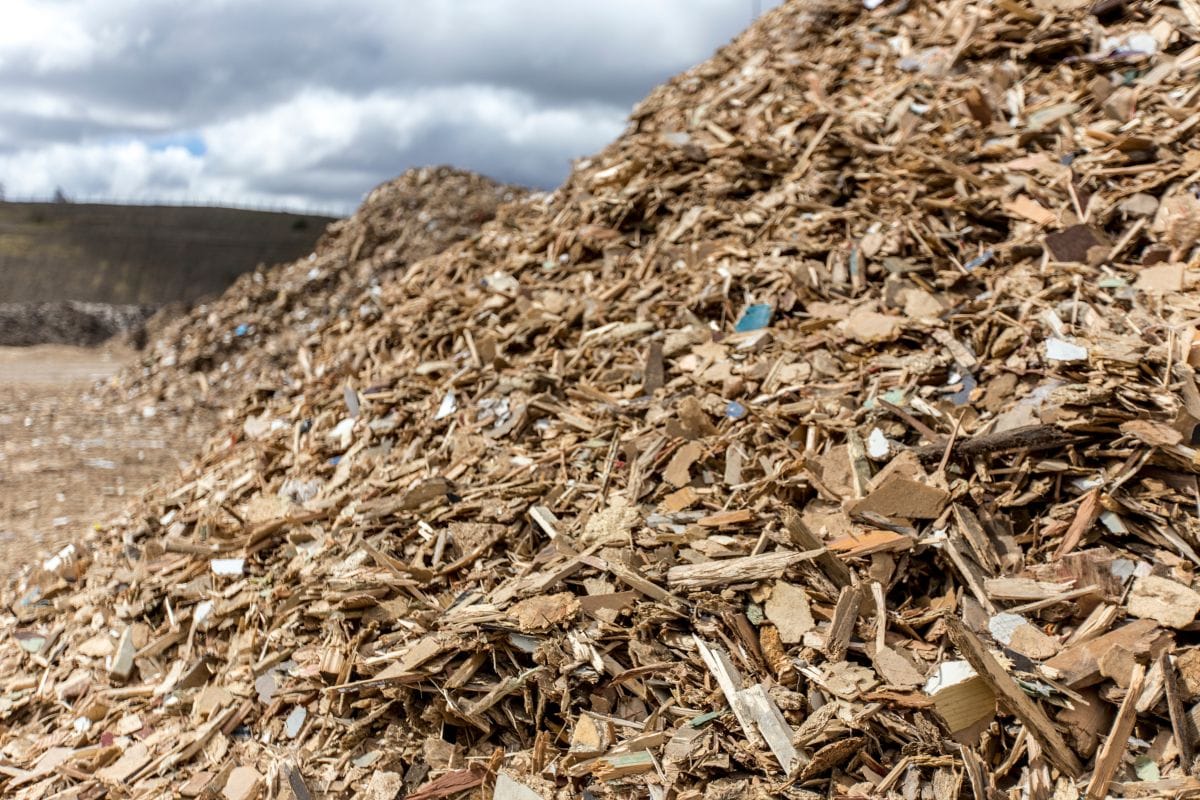 hardwood chips