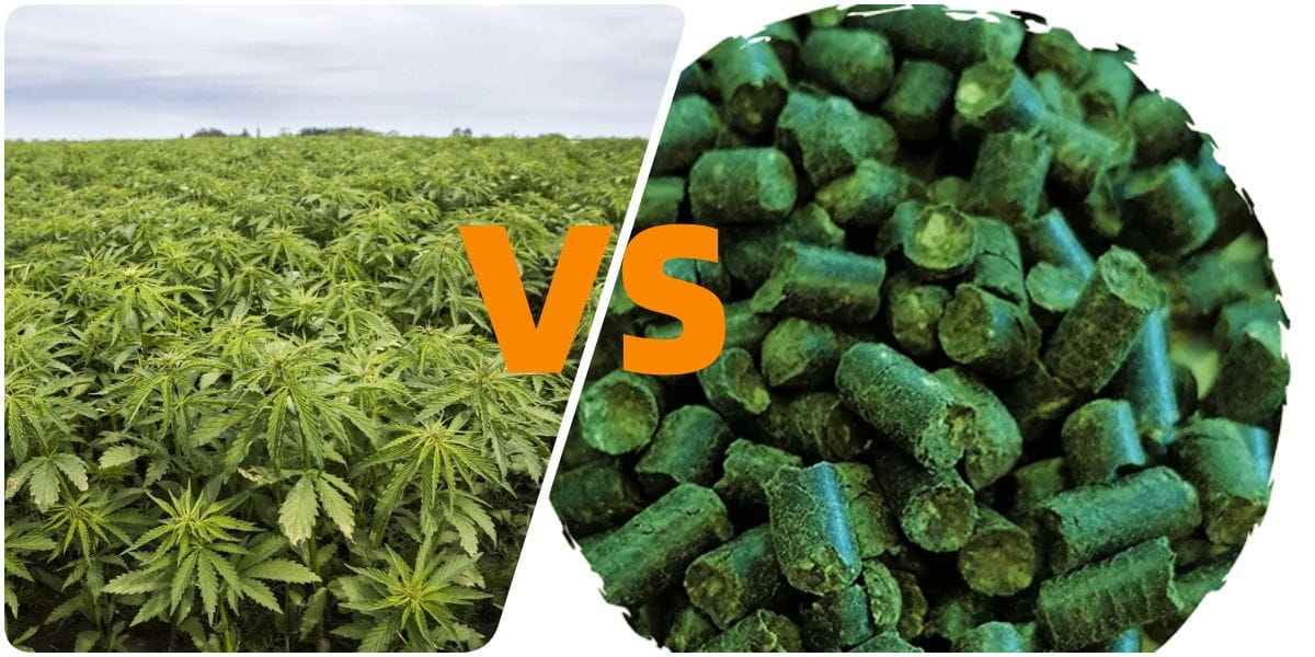 hemp Pellets vs hemp