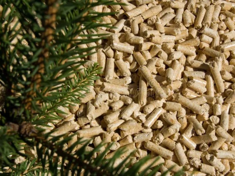 leaf pellets from pellet machine