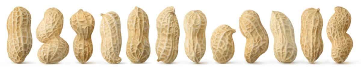 peanut hulls