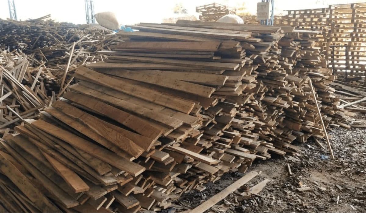 softwood for pellet