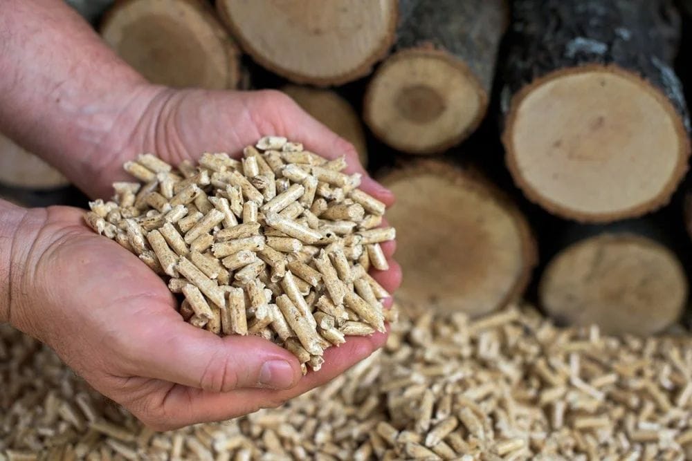 softwood pellets from pellet machine