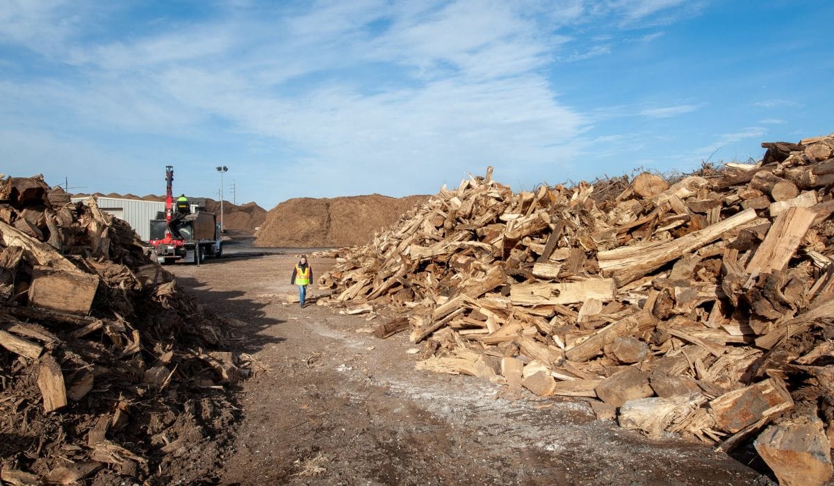 softwood waste for pellet machine