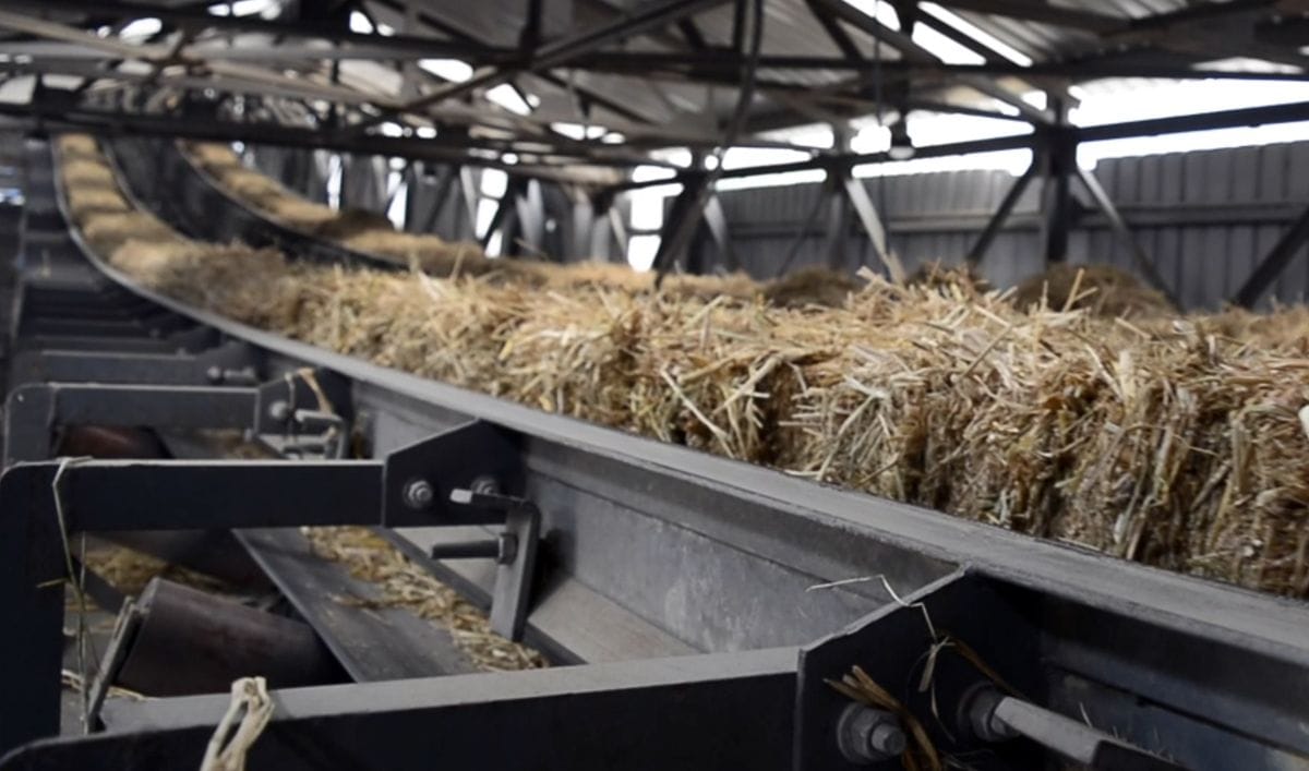 straw biomass pellet production
