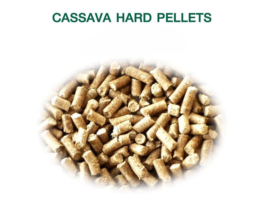 use of cassava in poultry feed