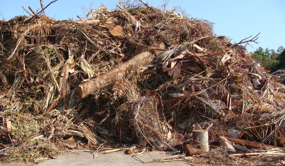 waste for wood pellets