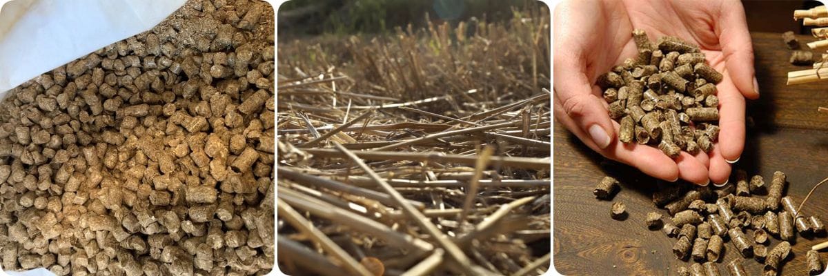 wheat straw and pellets