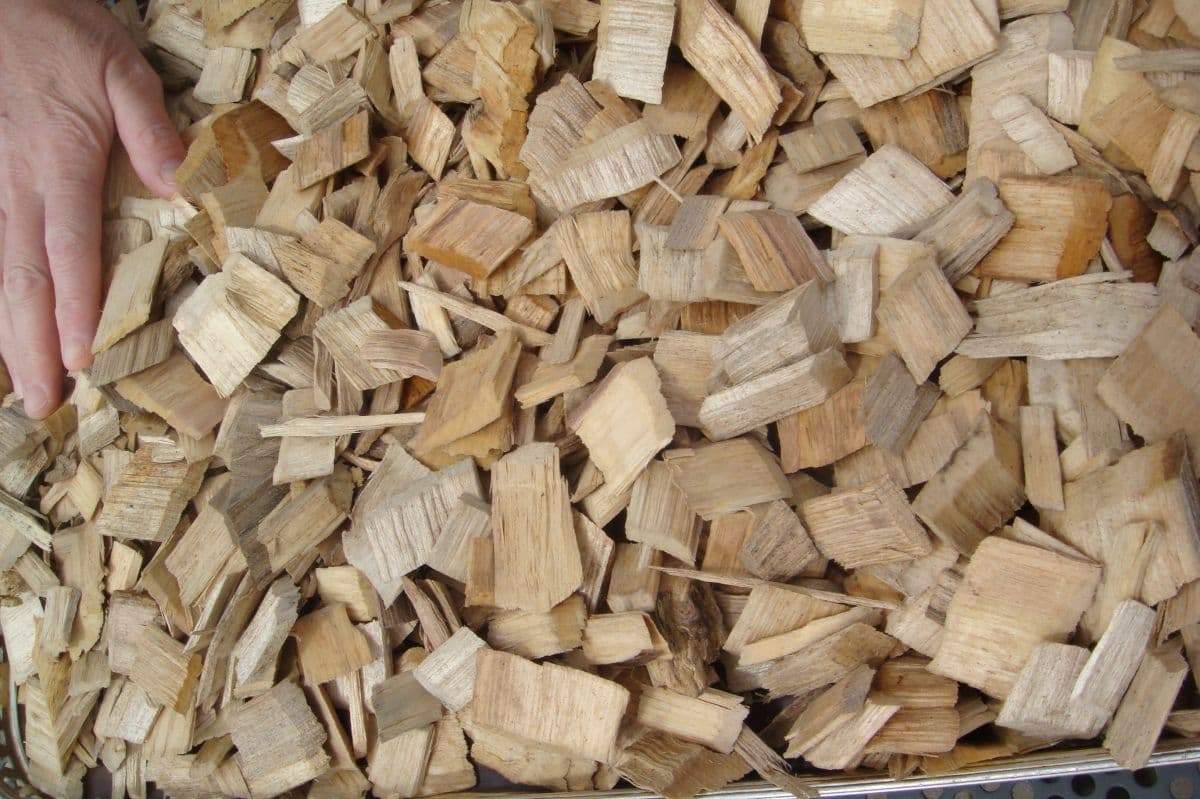 wood chip for fuel pellet