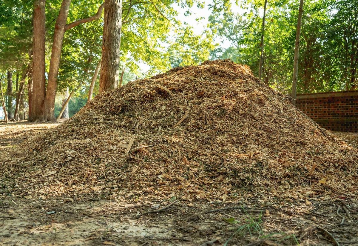 woodchips waste