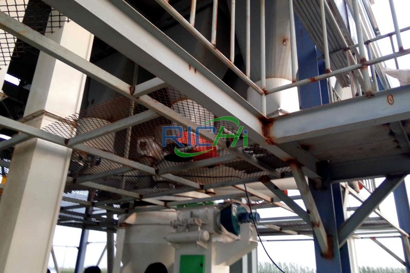 1 MT small scale poultry feed plant in South America