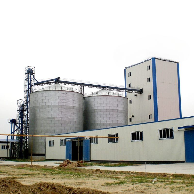 10 MT animal poultry feed pellet production line  Algeria