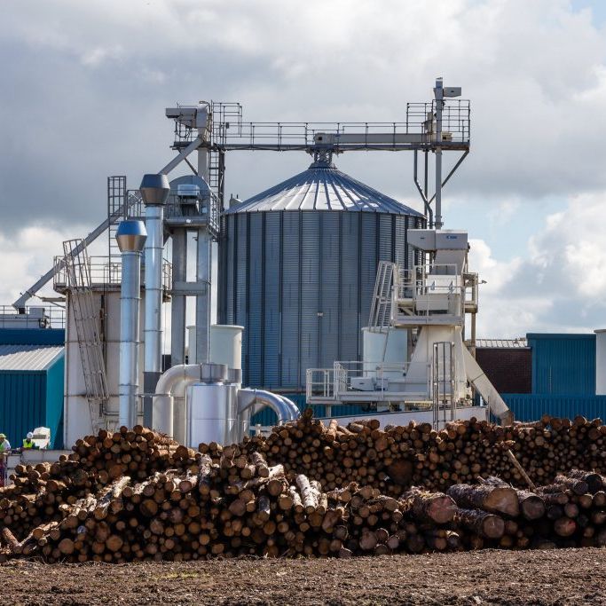 Крупный завод по производству древесных гранул производительностью 50 т/ч