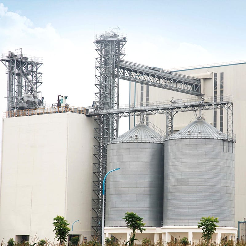 Линия по производству кормовых гранул для бройлеров мощностью 20 тонн, Сальвадор