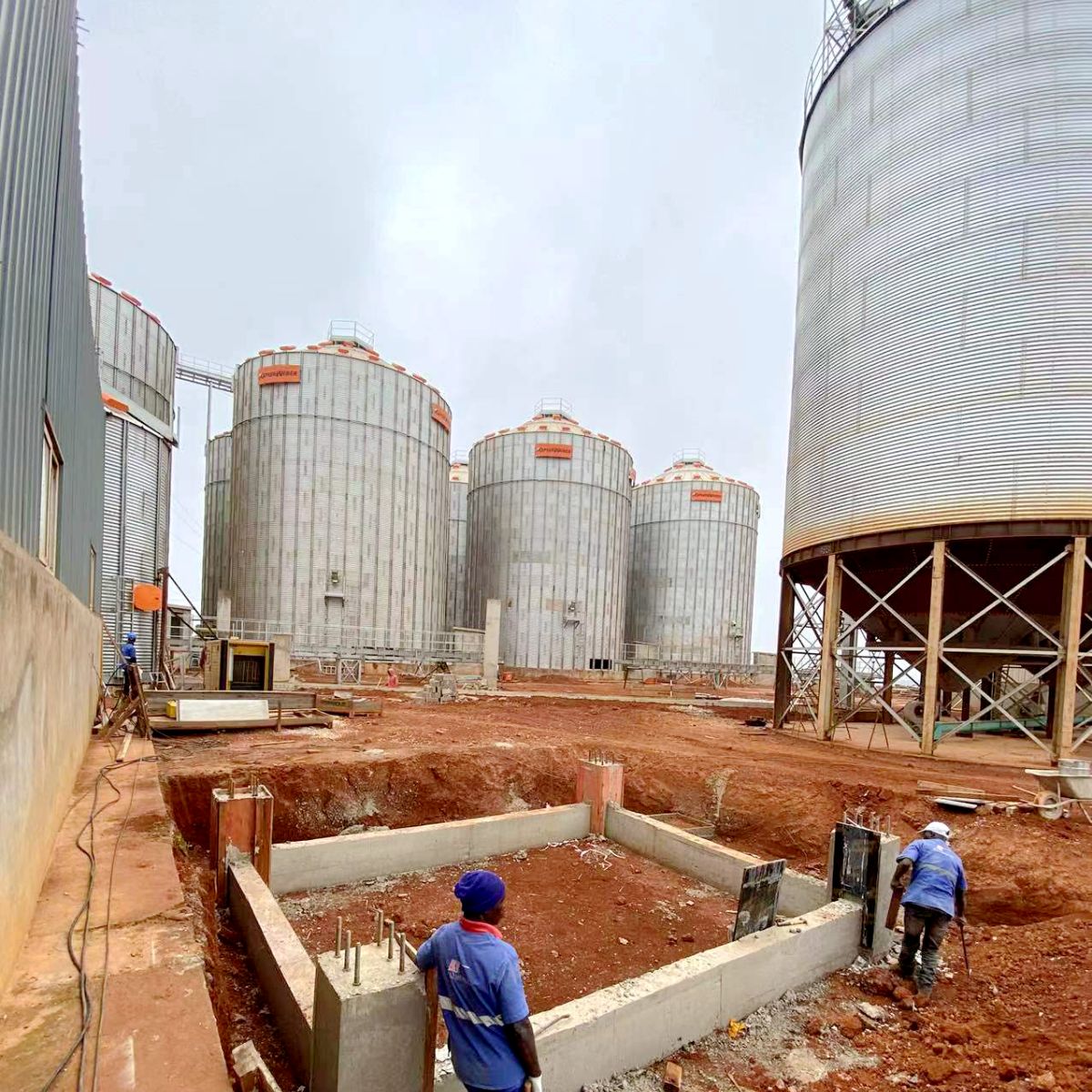 20-метровое оборудование для переработки кормов, линия по производству кормовых гранул, завод в Ботсване