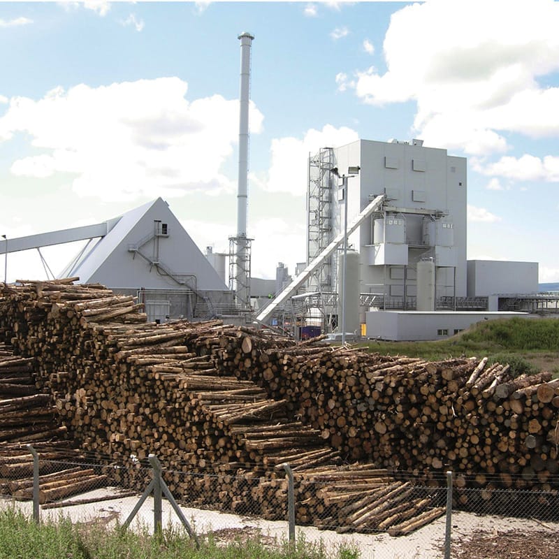 Линия по производству пеллет из биомассы мощностью 30 тонн с использованием сушилки, стоимость Италии