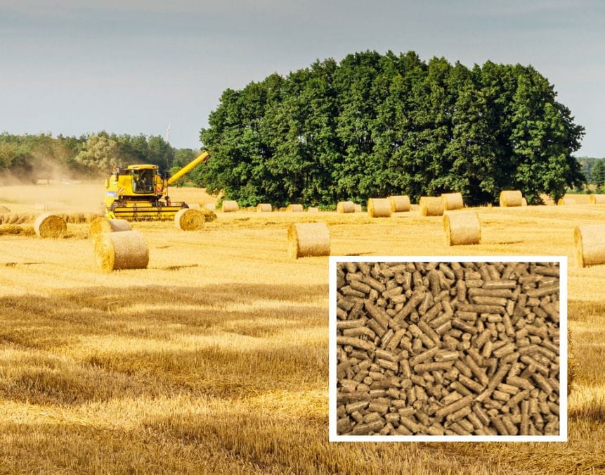 Линия гранулирования соломы из биомассы сельскохозяйственных отходов производительностью 5 тонн в час