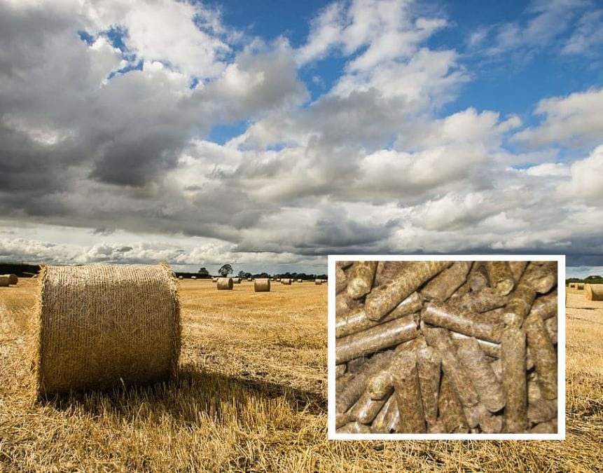 China professional biomass pellet line for straw waste