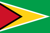 Flag-Guyana