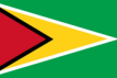 Guyana flag