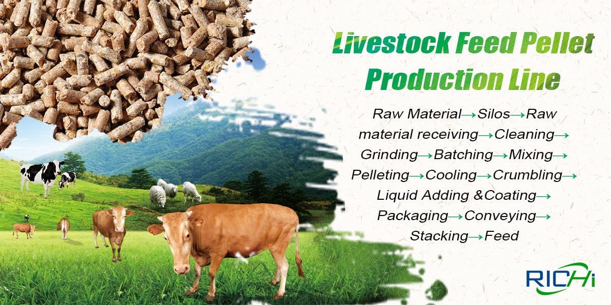 Livestock Feed Production Line Process