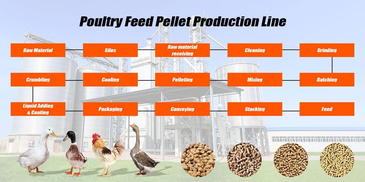 Poultry feed production line process