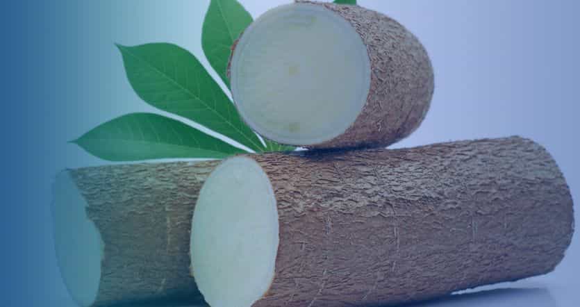 RICHI 1-100tph cassava pellet production solution